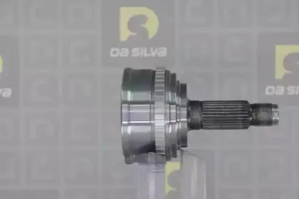 dasilva-j8055