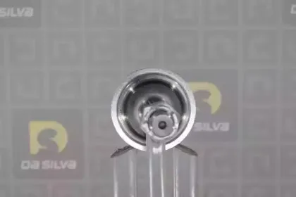 dasilva-j8594