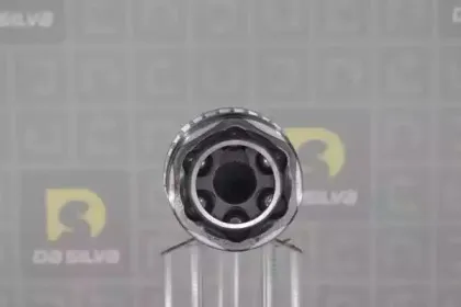 dasilva-j8594