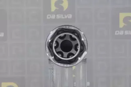 dasilva-j8602
