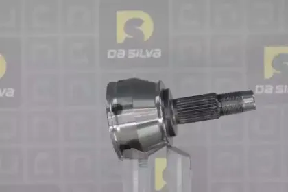 dasilva-j8699
