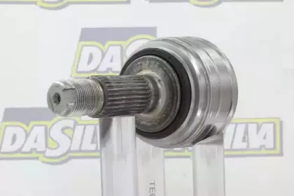dasilva-j8839