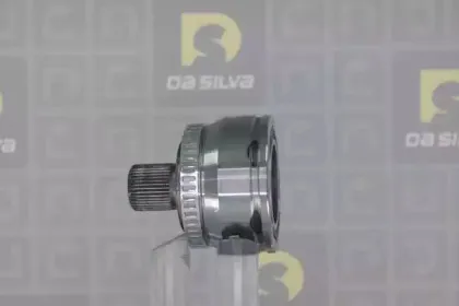 dasilva-j8948