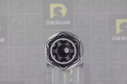 dasilva-j8948