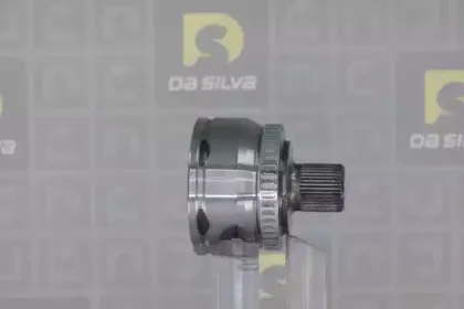 dasilva-j8948