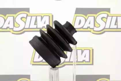 dasilva-k2010