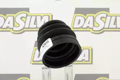 dasilva-k2010