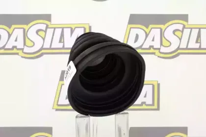 dasilva-k2019