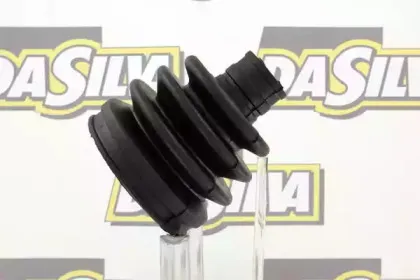 dasilva-k2022