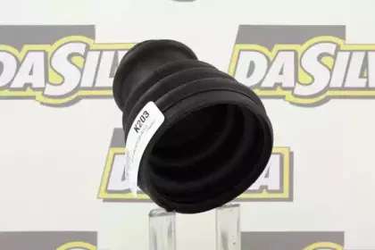 dasilva-k203