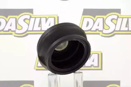 dasilva-k218