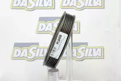 dasilva-pl8456