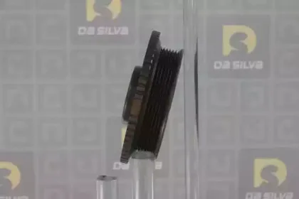dasilva-pl8486