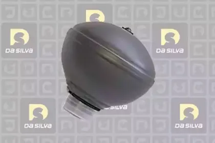 dasilva-s2401