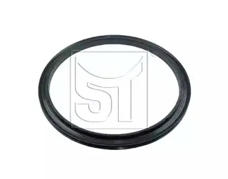 sttemplin-110600239910