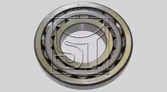 sttemplin-110500243460