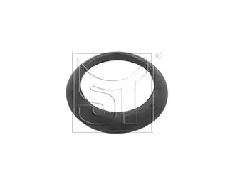 sttemplin-110120245400