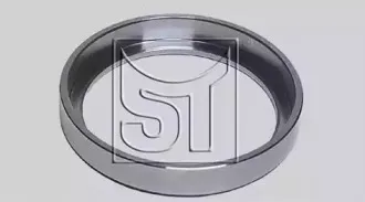 sttemplin-110300990160