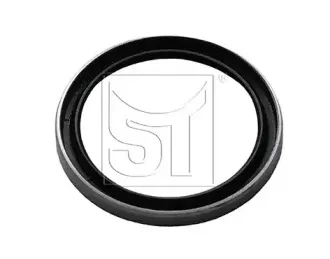 sttemplin-110600991130