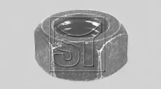 sttemplin-180601249000