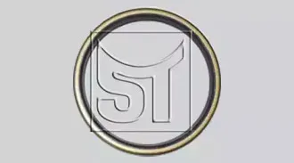 sttemplin-110601606000