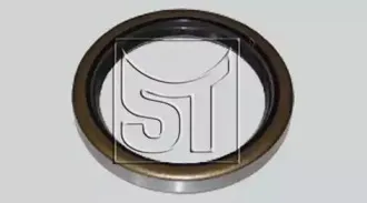 sttemplin-110601919020