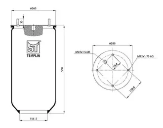 sttemplin-040606006671