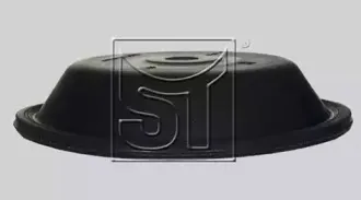 sttemplin-021307117060