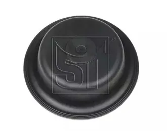 sttemplin-021307117090