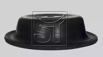 sttemplin-021307117110