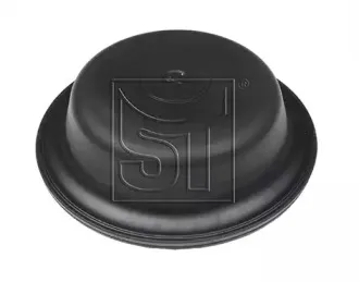 sttemplin-021307117100