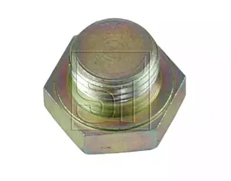 sttemplin-022107139400