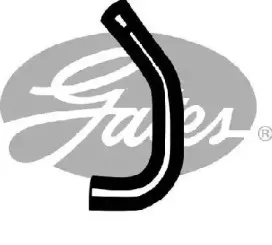 gates-3212