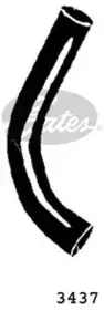 gates-3437