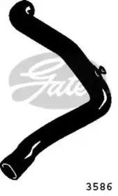gates-3586