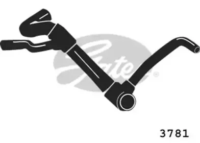 gates-3781