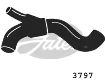 3797 GATES Шланг радиатора