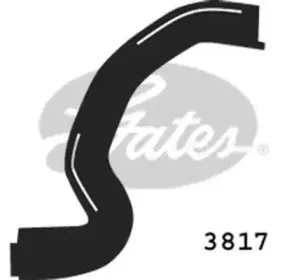 gates-3817