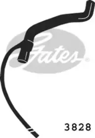 gates-3828