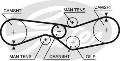 5012 GATES Ремень ГРМ