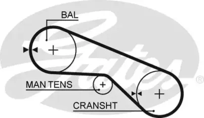 5025 GATES Ремень ГРМ