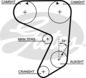 5081 GATES Ремень ГРМ