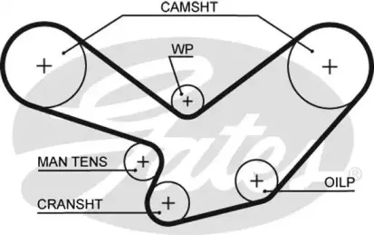 5096 GATES Ремень ГРМ