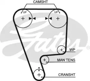 5170XS GATES Ремень ГРМ