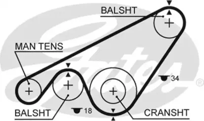 5243XS GATES Ремень ГРМ