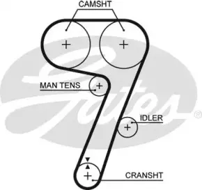 5336 GATES Ремень ГРМ