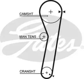 5365 GATES Ремень ГРМ