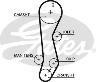 5389XS GATES Ремень ГРМ