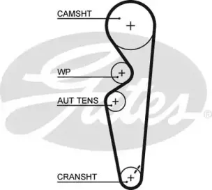 5431XS GATES Ремень ГРМ