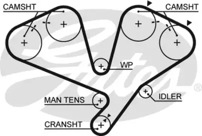 5442XS GATES Ремень ГРМ